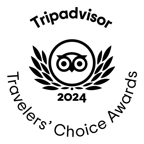 TC white winner gif L 2024 TC white winner gif L 2024