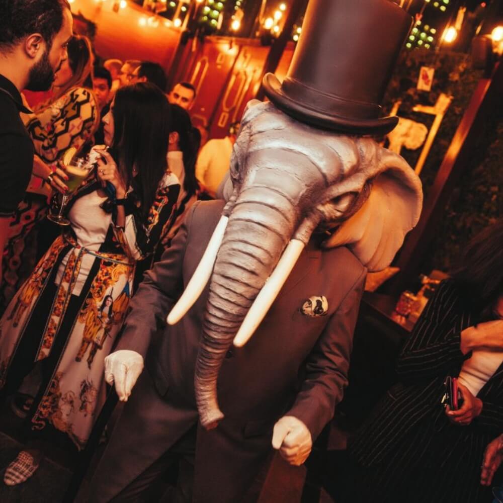 The Eloquent Elephant Gallery 7